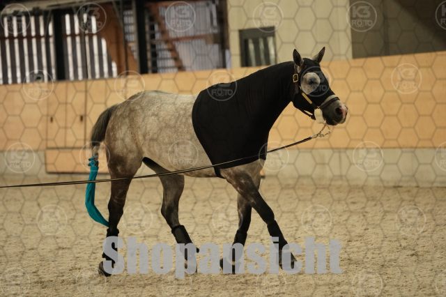 s_A_900134.JPG